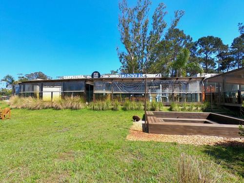 Imagen 5 de 11 de Venta Espectacular Local En Solana, Punta Ballena!