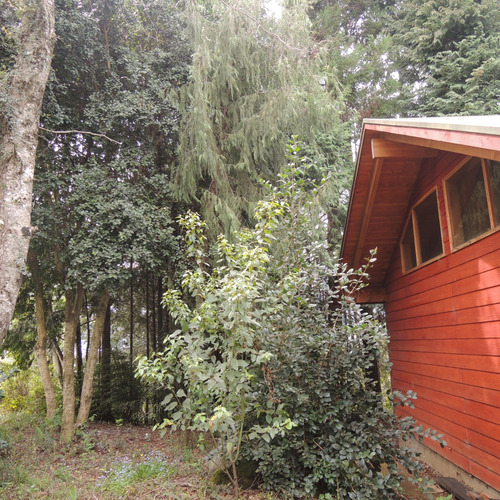 Casa Principal Con 3 Cabañas A 5 Minutos Del Centro De Pucon