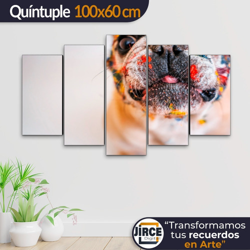 Cuadro Decorativo Moderno Perro Buldog Fránces Jd 0026 G Quíntuple 100x60 Cm Sin Marco