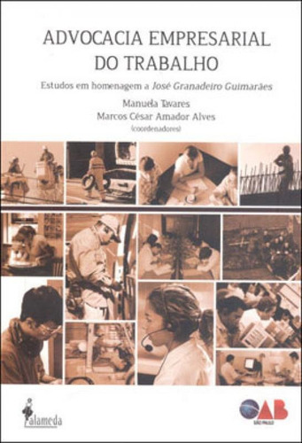 Advocacia Empresarial Do Trabalho: Estudos Em Homenagem A José Granadeiro Guimarães, De Tavares, Manuela. Editora Alameda, Capa Mole, Edição 1ª Edição - 2013 Em Português