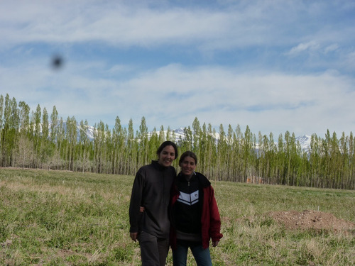 Imagen 4 de 12 de Vendo Finca En Malargue, C Pehuenche 5,68 Ha. 250m De Ruta 40.