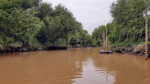 Imagen 30 de 30 de Lote Venta 2da Sección Delta Islas Sobre Paraná De L. Palma