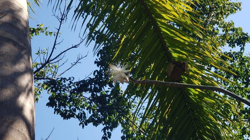 Imagem 6 de 20 de Terreno À Venda No Bairro Parque Dos Cafezais Ii, Em Itupeva - 16310