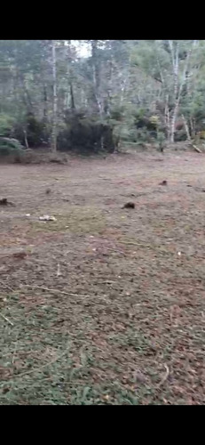 Vendo Um Sítio De 49.000 Metros Com Represa Dentro