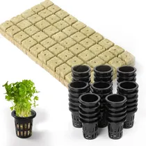 Comprar Cubos Lana Roca Germinación Hidroponía 100 Cubos Con Macetas
