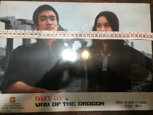Poster Bruce Lee Way The Dragon Impreso Usa 38 Cms (Usado)