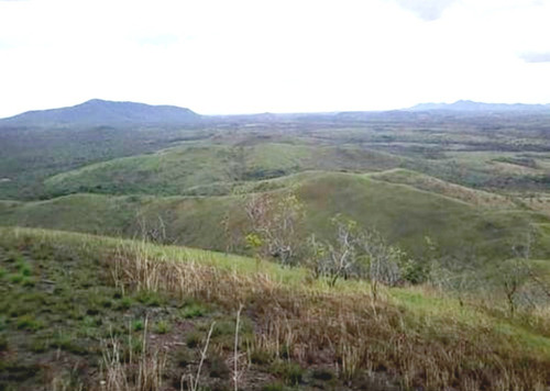Imagen 7 de 8 de Finca 3.000 Has. Municipio Piar, Upata, Edo. Bolívar