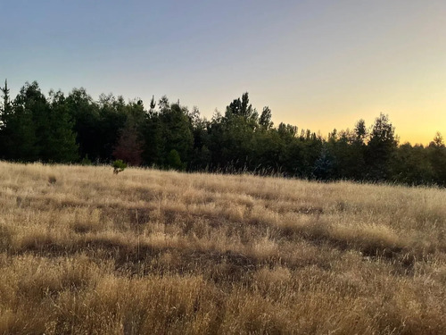 Invierte En Tierras: 3 Parcelas Bajo Valor De Mercado 2,22 H