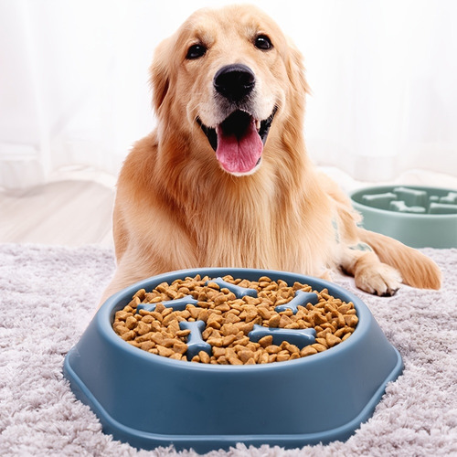 Plato Entrenador Para Mascota Nerviosa De Silicón
