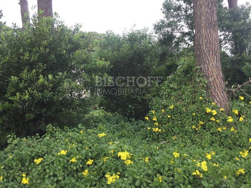 Imagen 8 de 12 de Hermoso Lote Sobre Avenida Principal, En Zona Sur, Villa Gesell