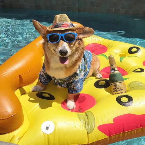 Rebanada De Pizza Inflable Pool Float Swimline Con Portavaso