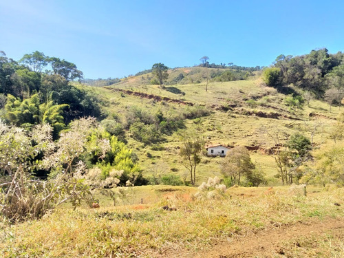 Imagem 10 de 28 de Fazenda 80 Alqueires Sendo 20 Alqueires Mata App, Casa Sede(em Reforma) E Caseiro Agua Nascente Riacho - Fa00019 - 69584449