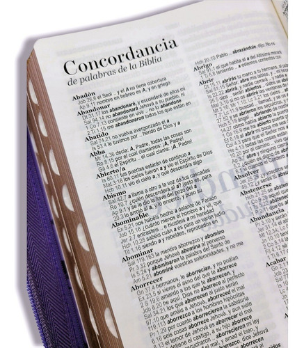 Imagen 6 de 9 de Biblia Rvr60 Letra Gigante 14pt Lila Mariposa Cierre Indices