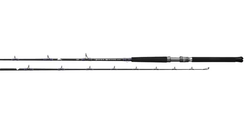 Caña Spinning Daiwa Darkwater Saltwater