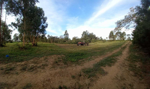 Imagem 2 de 12 de Chácara Em Eucaliptos, Fazenda Rio Grande/pr De 20000m² 1 Quartos À Venda Por R$ 180.000,00 - Ch1510288-s