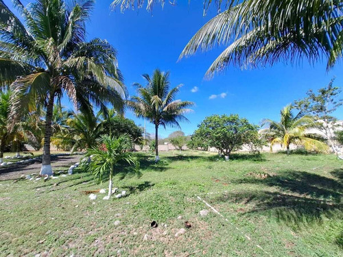 Venta Amplio Terreno De 6000 M2 Tahdzibichen, Merida, Yucatan.