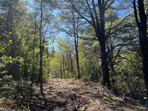 Terrenos 5.000 M2 Sector Las Tinajas, Malalcahuello