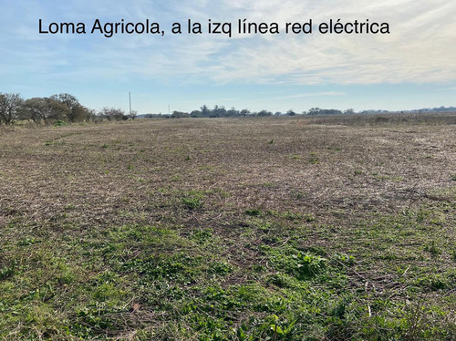 Campo En  Madariaga