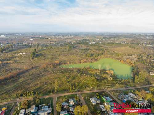 Venta Magnífico Terreno Para Urbanización En Zona De Barrios