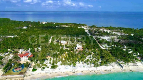 Imagen 2 de 13 de Terreno Frente Al Mar En Venta En Cancún Em0722