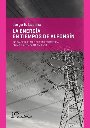 Energia En Tiempos De Alfonsin, La