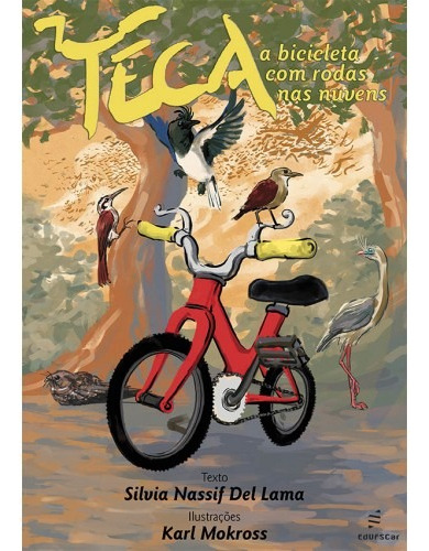 Teca - A bicicleta com rodas nas nuvens, de Lama, Silvia Nassif Del. Editora Fundação de Apoio Inst. Ao Desenv. Cient. E Tecnologico, capa mole em português, 2020