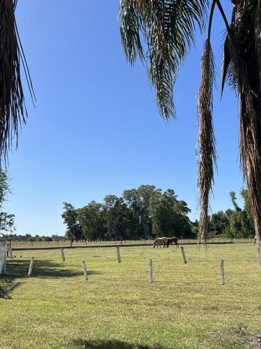 Imagen 13 de 30 de Venta Hermosa Chacra Haras Con Casco Y Mejoras En San Miguel Del Monte