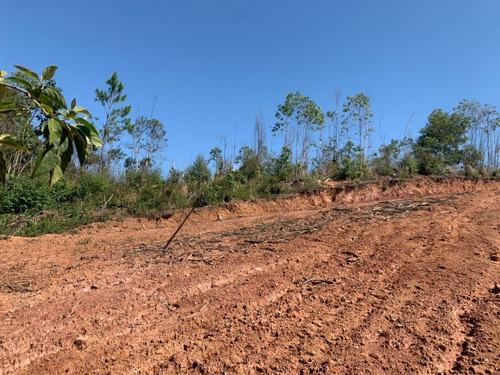 Imagem 30 de 30 de Sb- Lote A Venda