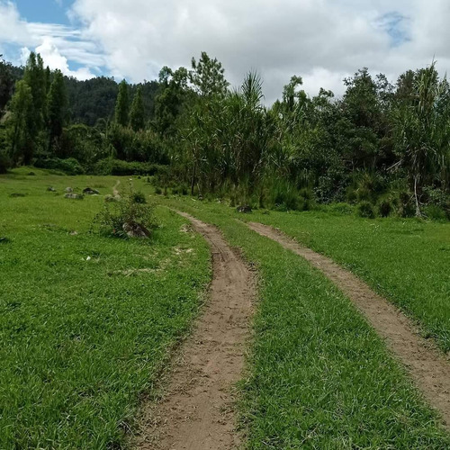 Terreno Constanza 2,209 Tareas Para Agricultura, Turismo, GanaderÃa