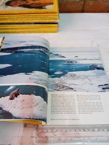 Revista National Geographic No 5 Mayo 1981 (us) (Usado)