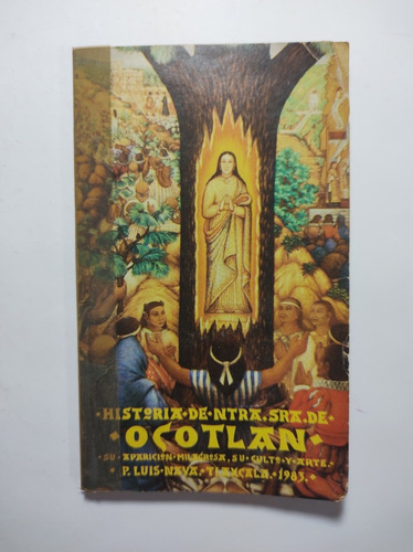Historia De Nuestra Señora De Ocotlan , P. Luis Nava 