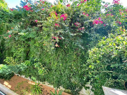 Imagen 15 de 15 de Venta Departamento 1 Ambiente En Núñez