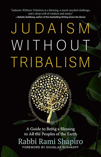 Libro Judaism Without Tribalism-inglés, De Shapiro, Rabbi Rami. Editorial Oem, Tapa Blanda En Inglés