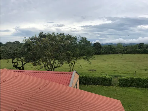 Venta Finca Pueblo Tapao - 8 Cuadras