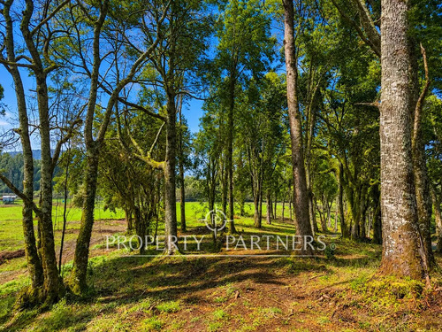 Exclusivas Parcelas Con Orilla Al Lago Puyehue 