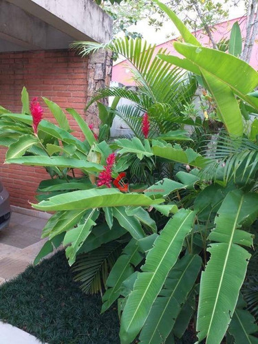 Imagem 9 de 27 de Sobrado Com 4 Dormitórios À Venda, 363 M² Por R$ 2.300.000,00 - Pernambuco I - Guarujá/sp - So1105