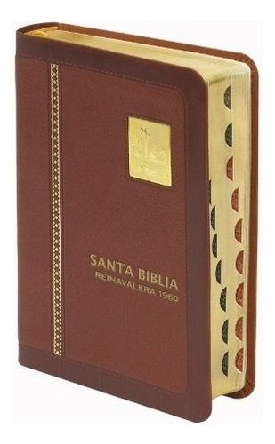 Biblia Reina Valera 1960 Mediana Con Índice Y Concordancia