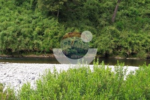 Terreno De Ensueño En Los Lagos: ¡invierte Hoy!