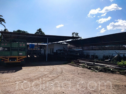 Imagen 20 de 29 de Granja Agrícola Y Porcina Turmero, De 5.7 Hectáreas 04123465023