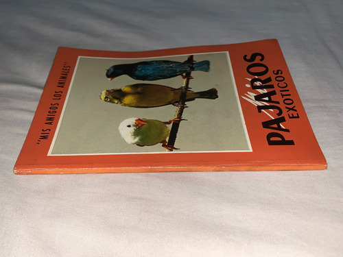 Mis Pajaros Exoticos - Gustavo Gili