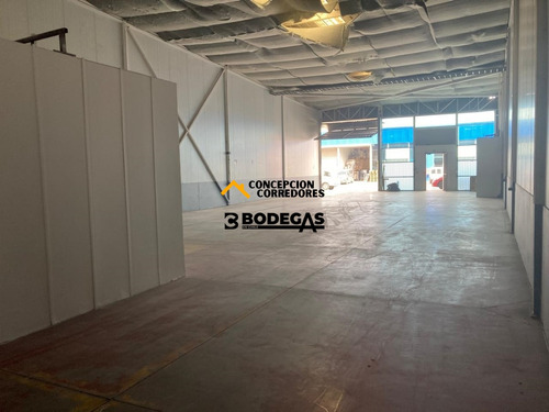 Arriendo Bodega De 390 M2 Carretera San Martin, Quilicura.