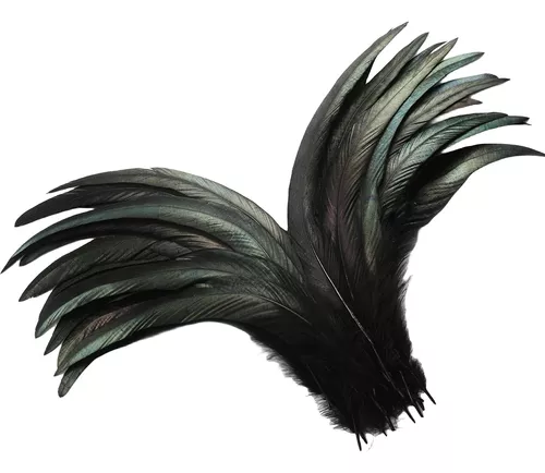 20 unidades/lote de plumas negras de gallo, plumas de ganso, para