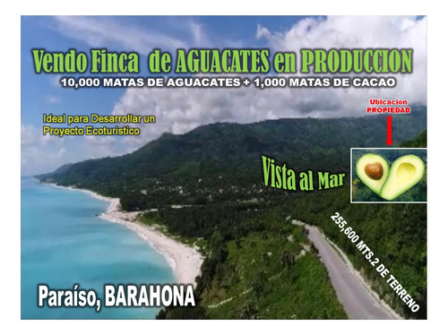 Vendo Finca De Aguacate En Produccion En Paraíso, Barahona,  255,600 Mts.2, Vista Al Mar, Us$995,000.00