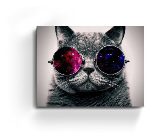 Cuadros Gato Lentes Pop Rock Arte Hipster Deco Moderno Arte