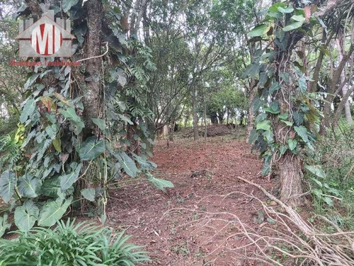 Ótima Chácara Com 03 Dormitórios, Pomar, Vista Deslumbrante, Cômodos Amplos, À Venda, 6000 M² Por R$ 450.000 - Zona Rural - Pinhalzinho/sp - Ch0864