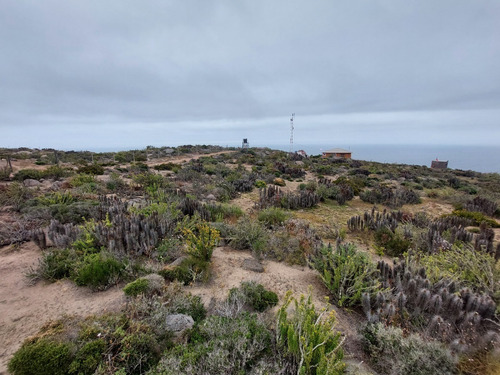 Imagen 9 de 11 de Terreno El Arrayan La Serena, Km 492