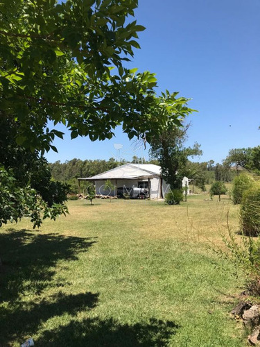 Imagen 10 de 27 de Chacra Muy Cerca De Ruta 104 Y Camino Egusquiza, Casa Y Piscina. Consulte!!!! - La Barra Camino Eguzquiza