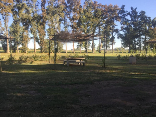 Imagen 10 de 12 de Venta Lote Rodriguez Villa De Campo Tres Pinos Estribo
