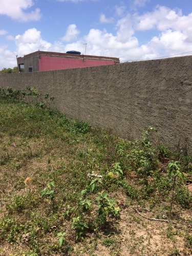 Imagem 3 de 12 de Terreno 12,00m X 15,00m Em Ponta De Pedra, Aceito Automóvel, Excelente Localização - Te00024 - 67727456