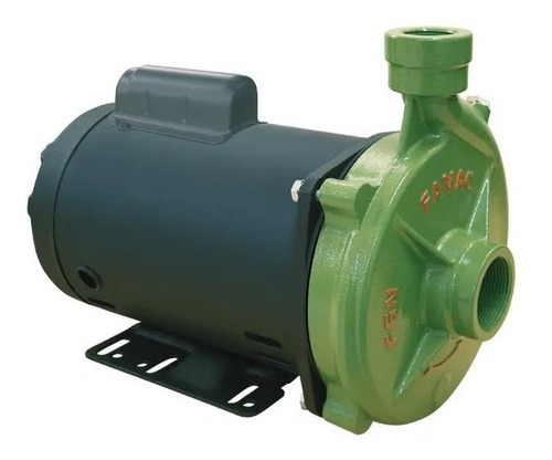 Motobomba Centrífuga Água Limpa Fgn-2 3cv Motor Weg Famac Cor Verde/Preto Fase elétrica Monofásica 110V 220V Monofásica